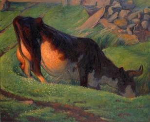 Weidende Kuh